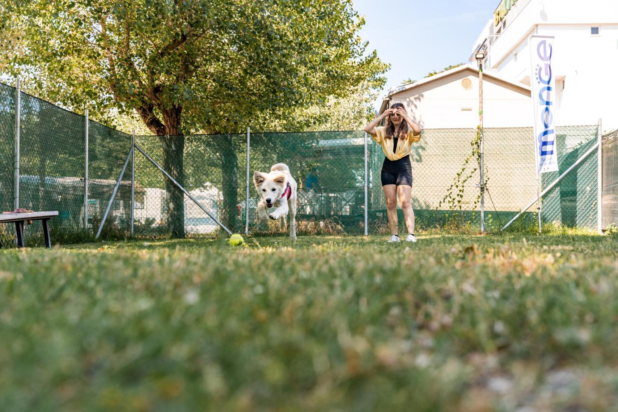 Club Del Sole Riccione Easy Camping Village Eksteriør bilde